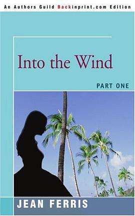 Into the Wind pdf epub mobi 电子书 下载