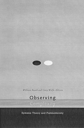 Observing Complexity pdf epub mobi 电子书 下载