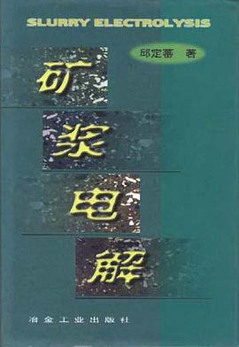 矿浆电解 pdf epub mobi 电子书 下载