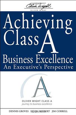 Achieving Class A Business Excellence pdf epub mobi 下载