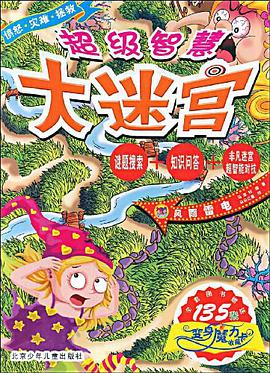 超级智慧大迷宫·风雨雷电 pdf epub mobi 电子书 下载