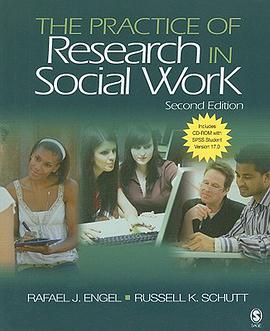 The Practice of Research in Social Work pdf epub mobi 电子书 下载