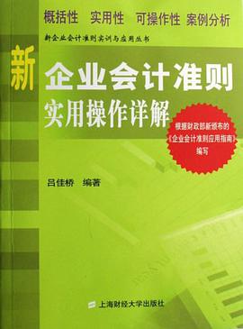 新企业会计准则实用操作详解 pdf epub mobi 电子书 下载