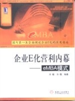 企业E化营利内幕 pdf epub mobi 电子书 下载