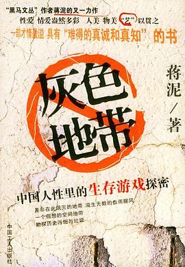 灰色地带 pdf epub mobi 电子书 下载