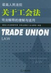最高人民法院关于工会法司法解释的理解与适用