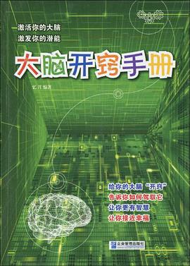 大脑开窍手册 pdf epub mobi 电子书 下载