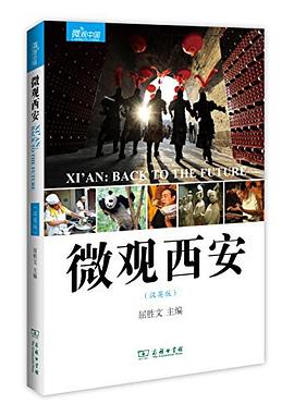 微观西安 pdf epub mobi 电子书 下载