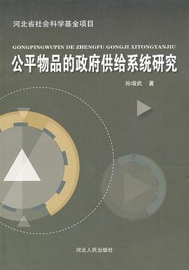 公平物品的政府供给系统研究