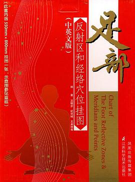 足部反射区和经络穴位挂图
