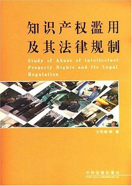 知识产权滥用及其法律规制 pdf epub mobi 电子书 下载