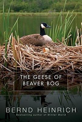 The Geese of Beaver Bog pdf epub mobi 电子书 下载
