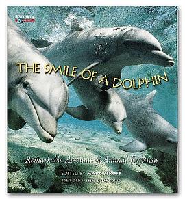 The Smile of a Dolphin