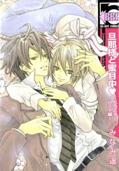 旦那様と蜜月中～とろとろハニー編～ pdf epub mobi 电子书 下载