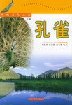 孔雀 pdf epub mobi 电子书 下载