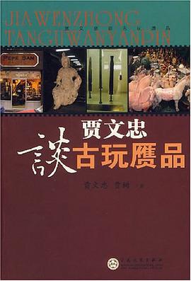 贾文忠谈古玩赝品 pdf epub mobi 电子书 下载