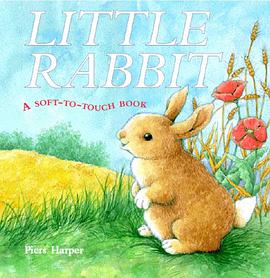 Little Rabbit pdf epub mobi 下载
