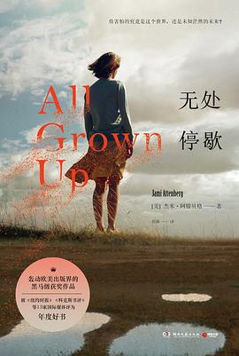 无处停歇 pdf epub mobi 电子书 下载