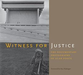 Witness for Justice pdf epub mobi 电子书 下载