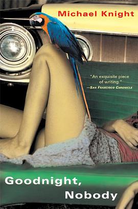 Goodnight, Nobody pdf epub mobi 下载