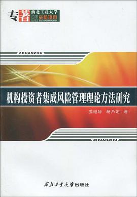 机构投资者集成风险管理理论方法研究
