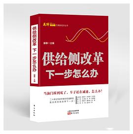 供给侧改革 下一步怎么办 pdf epub mobi 电子书 下载