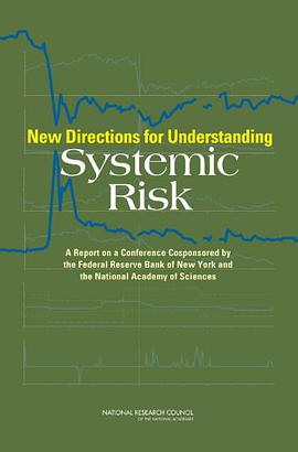 New Directions for Understanding Systemic Risk pdf epub mobi 电子书 下载