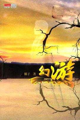 幻游 pdf epub mobi 电子书 下载