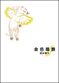 金色翅膀 pdf epub mobi 电子书 下载