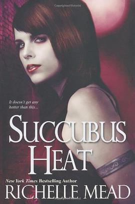 Succubus Heat pdf epub mobi 电子书 下载