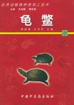 龟鳖 pdf epub mobi 电子书 下载
