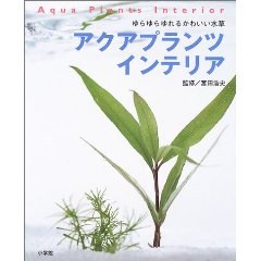 アクアプランツインテリア pdf epub mobi 电子书 下载