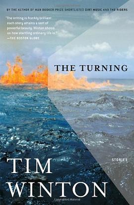 The Turning pdf epub mobi 电子书 下载