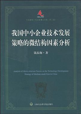 我国中小企业技术发展策略的微结构因素分析 pdf epub mobi 电子书 下载