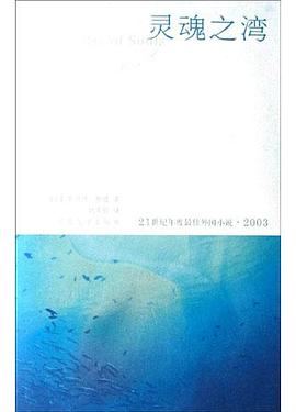 灵魂之湾 pdf epub mobi 电子书 下载