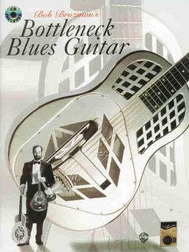 Acoustic Masters Series pdf epub mobi 电子书 下载