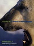 SHOOTING BEARS:THE ADVENTURES OF A WILDE PHOTOGRAPHER pdf epub mobi 电子书 下载