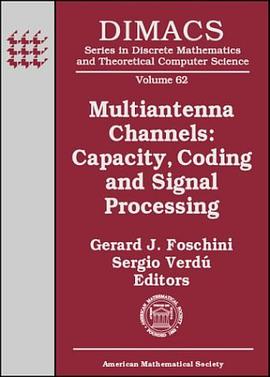 Multiantenna Channels pdf epub mobi 下载