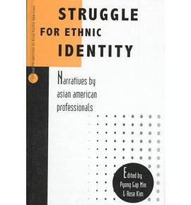 Struggle for Ethnic Identity pdf epub mobi 电子书 下载