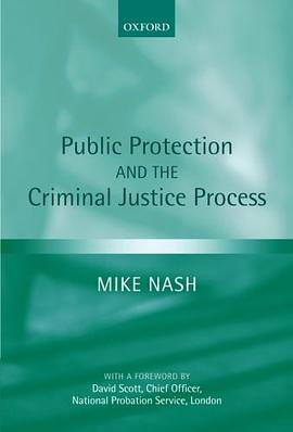 Public Protection and the Criminal Justice Process pdf epub mobi 电子书 下载