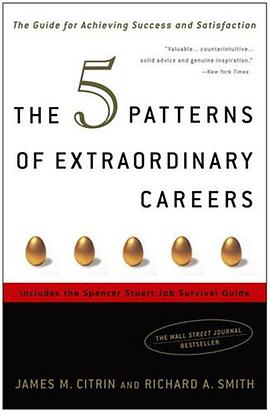 The 5 Patterns of Extraordinary Careers pdf epub mobi 电子书 下载