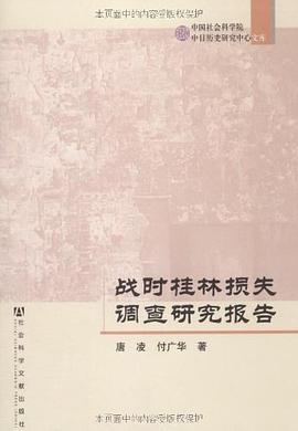战时桂林损失调查研究报告 pdf epub mobi 电子书 下载