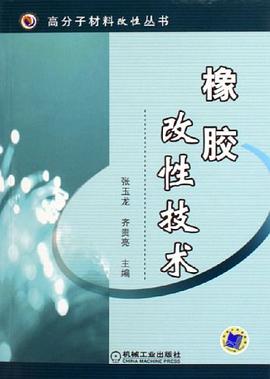 橡胶改性技术 pdf epub mobi 电子书 下载