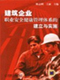 建筑企业职业安全健康管理体系的建立与实施 pdf epub mobi 电子书 下载