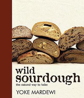 Wild Sourdough pdf epub mobi 电子书 下载