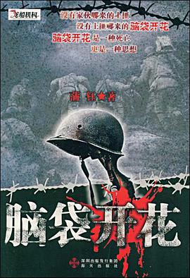 脑袋开花 pdf epub mobi 电子书 下载