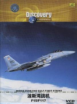 波斯湾战机 F15/F117 pdf epub mobi 电子书 下载