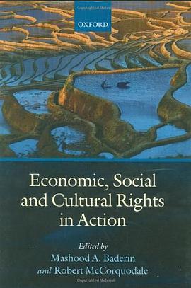 Economic, Social, and Cultural Rights in Action pdf epub mobi 下载