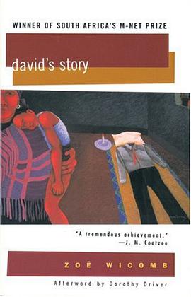 David's Story pdf epub mobi 电子书 下载
