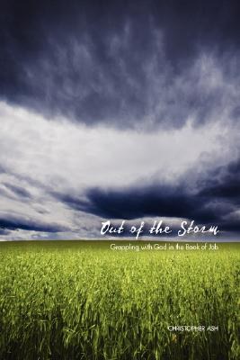 Out of the Storm pdf epub mobi 电子书 下载